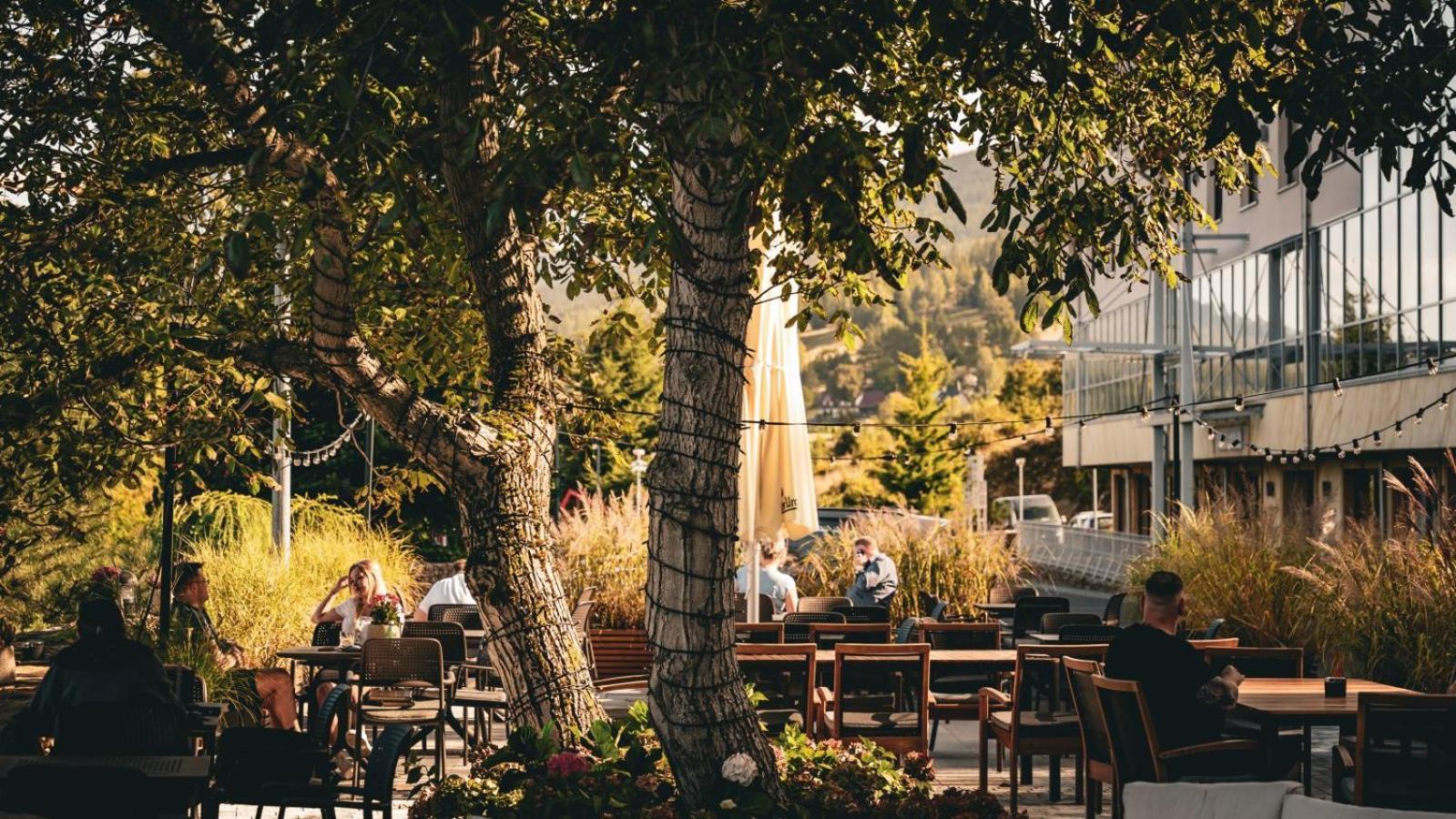 Hotel & Medi-Spa Bialy Kamien Świeradów-Zdrój Exterior foto